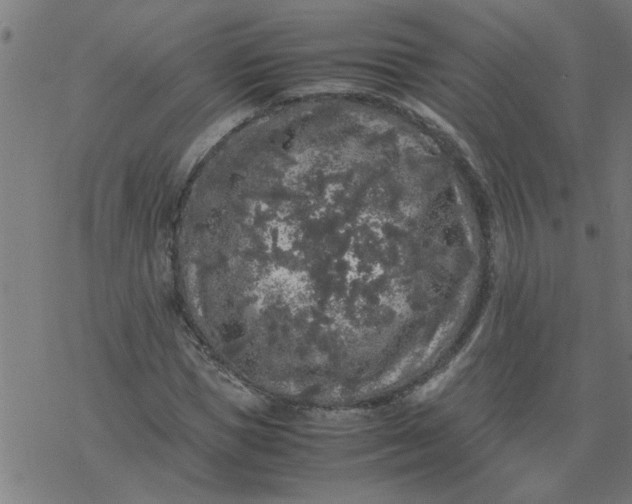 X0000077390921200611031957