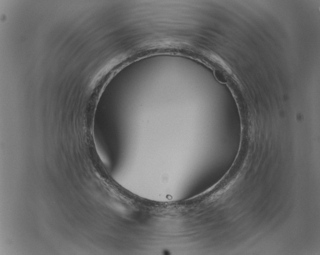 X0000077390922200611031957