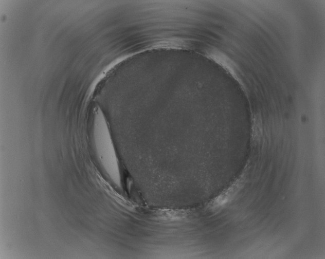 X0000077390923200611031958