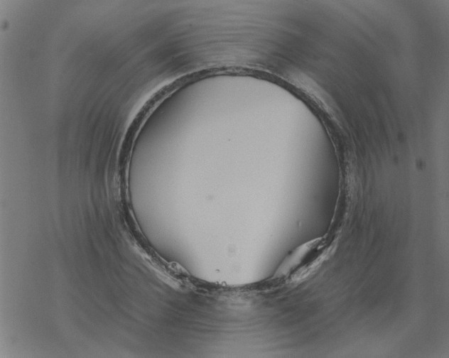 X0000077390924200611031958