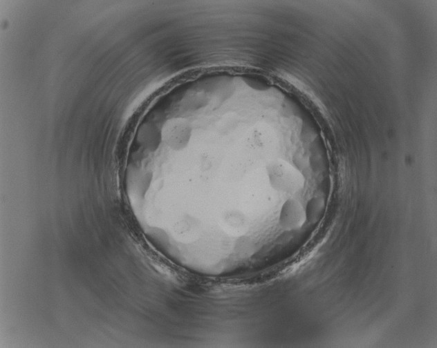 X0000077390925200611031958