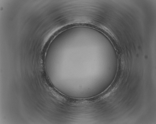 X0000077390926200611031958