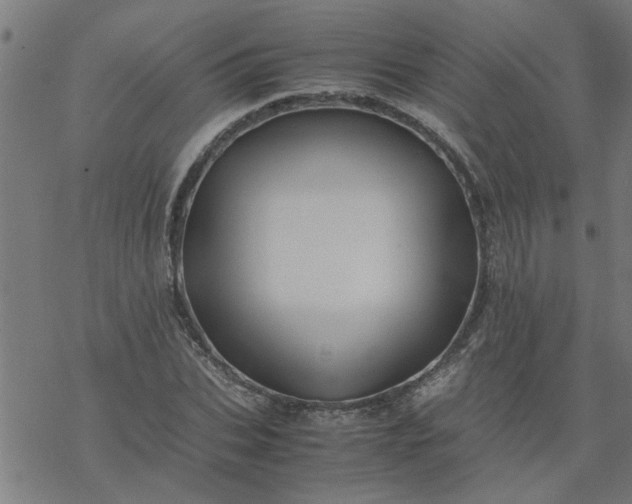 X0000077390927200611031958