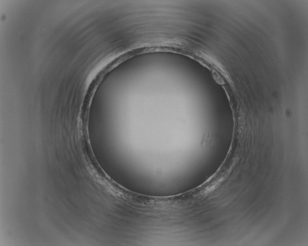 X0000077390928200611031958