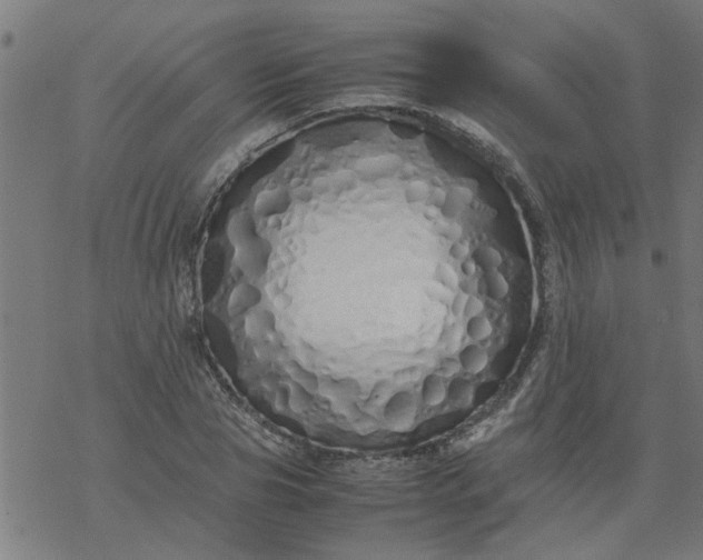 X0000077390929200611031958