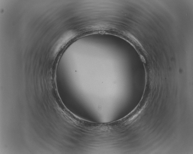 X0000077390930200611031958