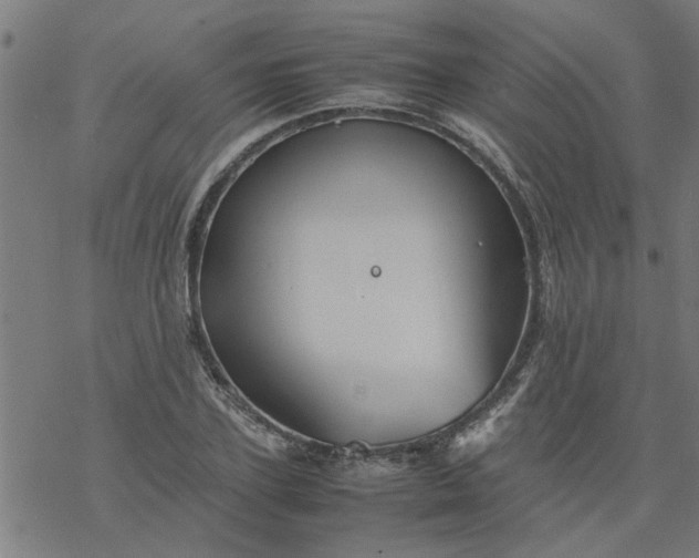 X0000077390931200611031958