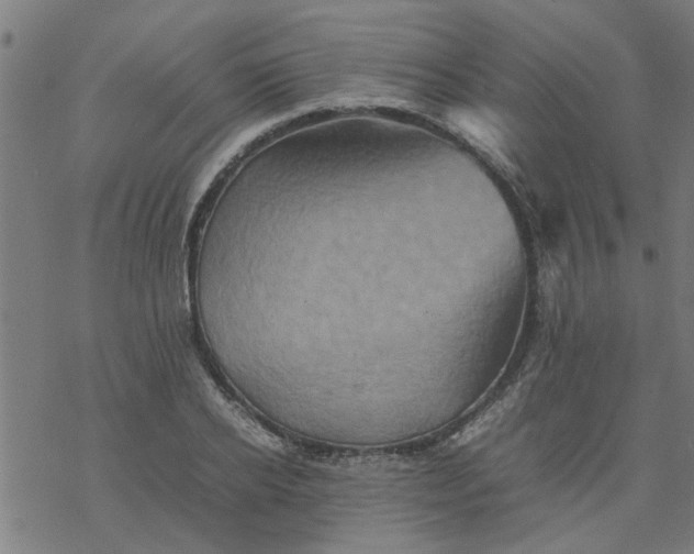 X0000077390934200611031958