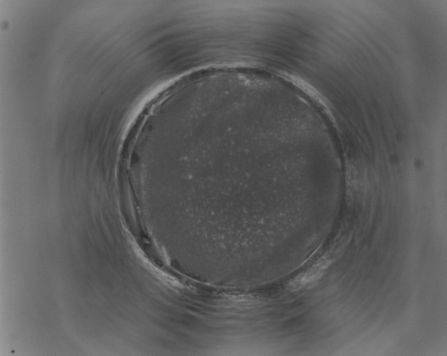 X0000077390935200611031958