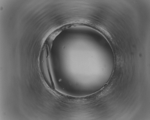 X0000077390936200611031958