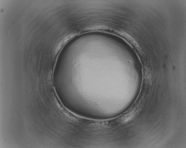 X0000077390937200611031958