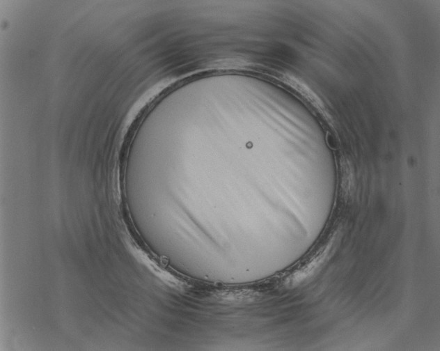 X0000077390939200611031958