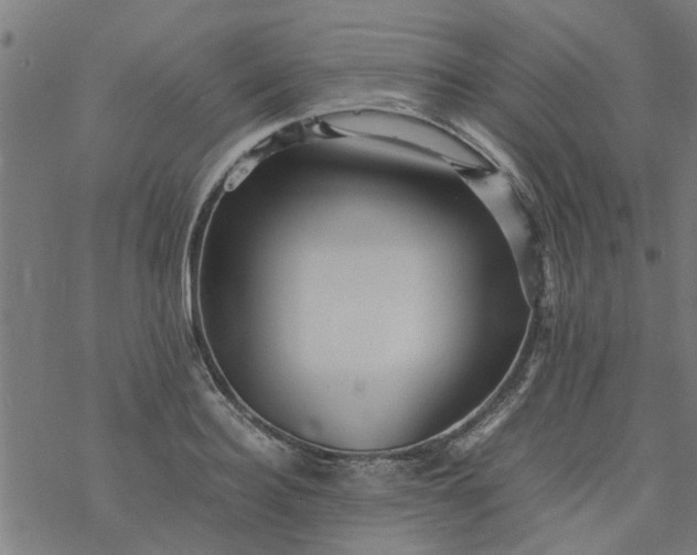 X0000077390940200611031958