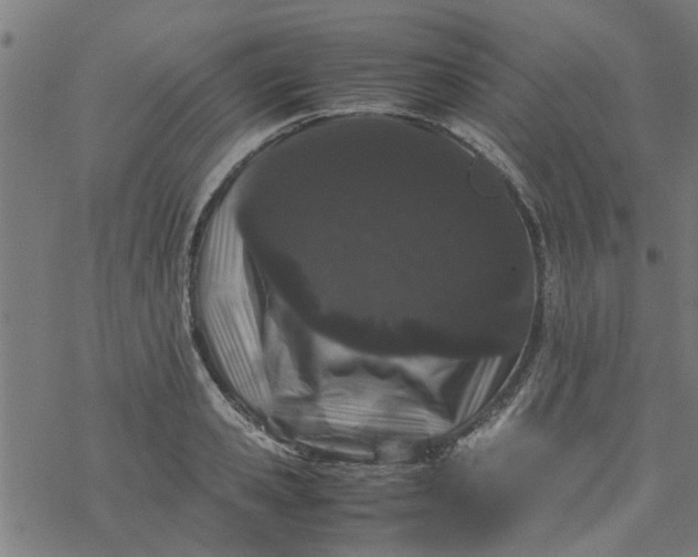 X0000077390941200611031958