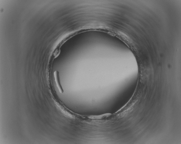 X0000077390942200611031958