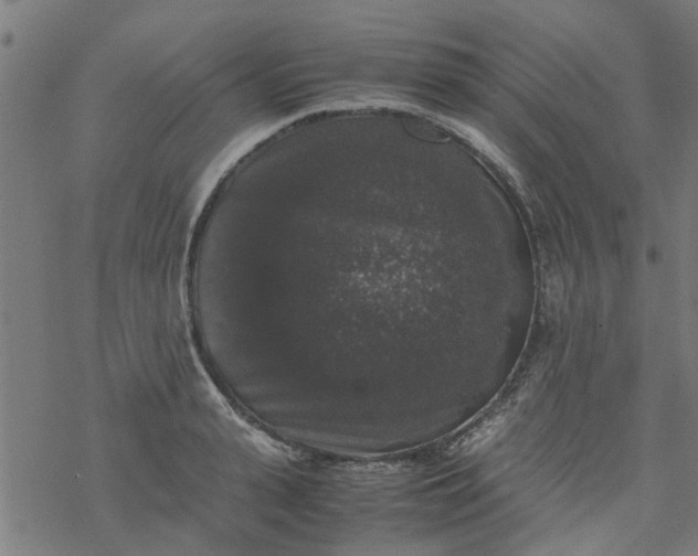 X0000077390943200611031958