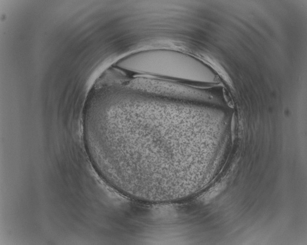 X0000077390944200611031958