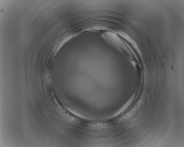 X0000077390945200611031958