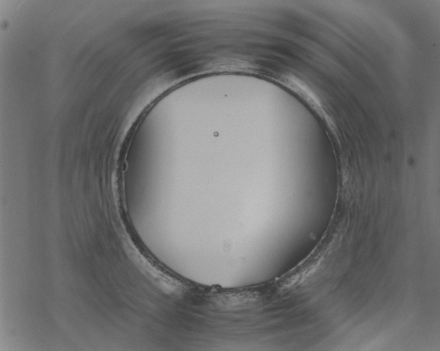 X0000077390947200611031958