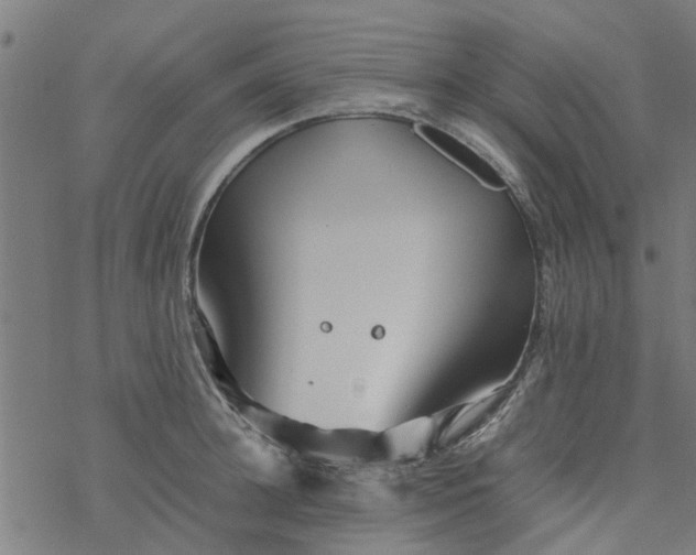 X0000077390948200611031958