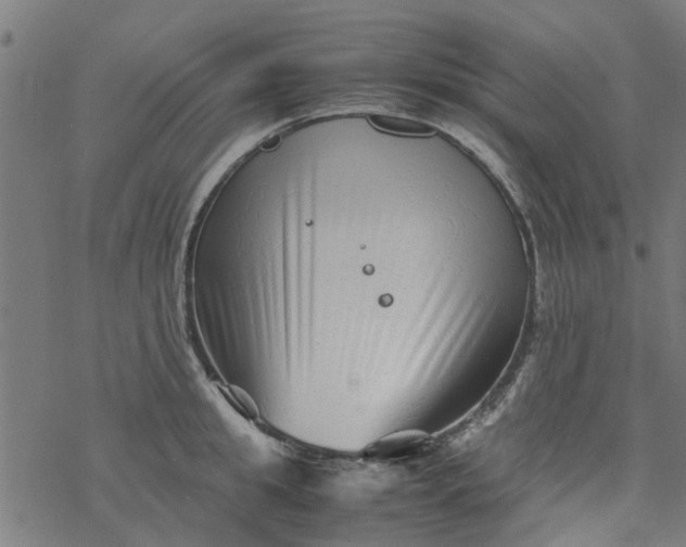 X0000077390949200611031958