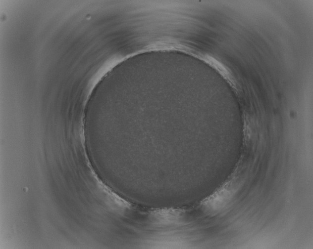 X0000077390950200611031958