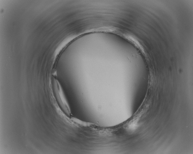 X0000077390952200611031958