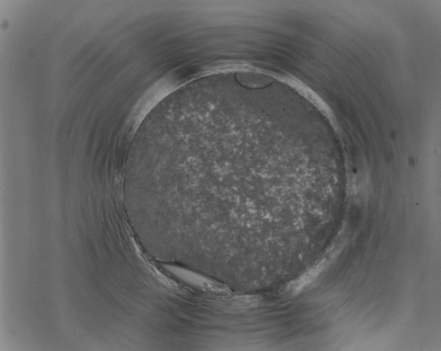 X0000077390953200611031958