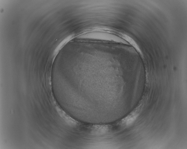 X0000077390954200611031958