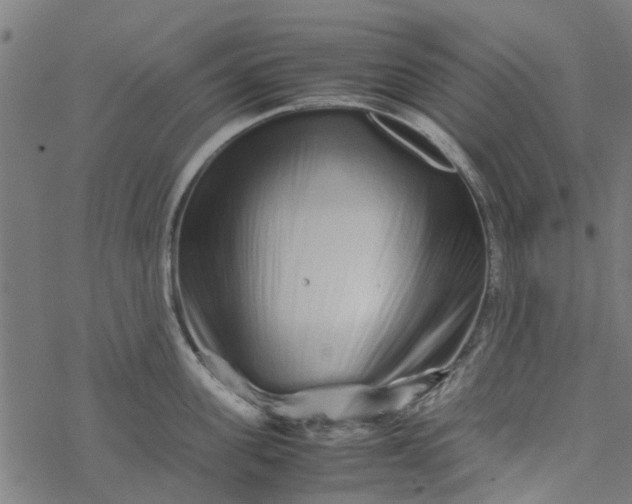 X0000077390955200611031958