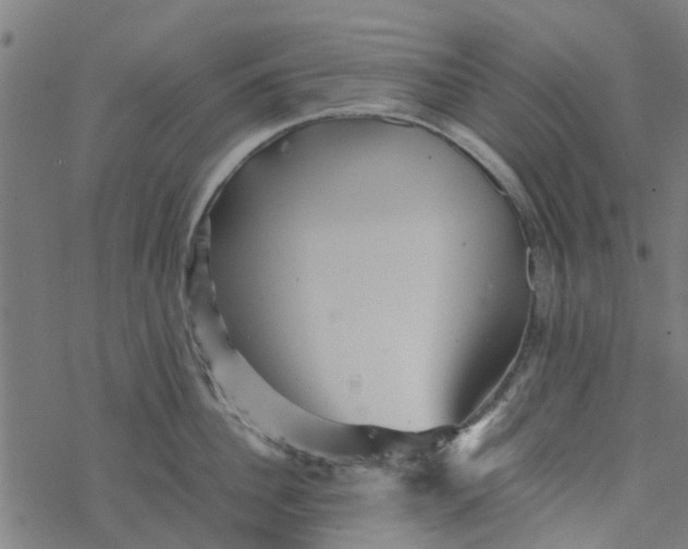 X0000077390956200611031958