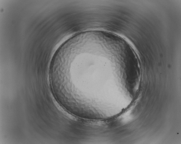 X0000077390957200611031958