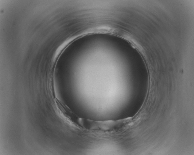 X0000077390960200611031958