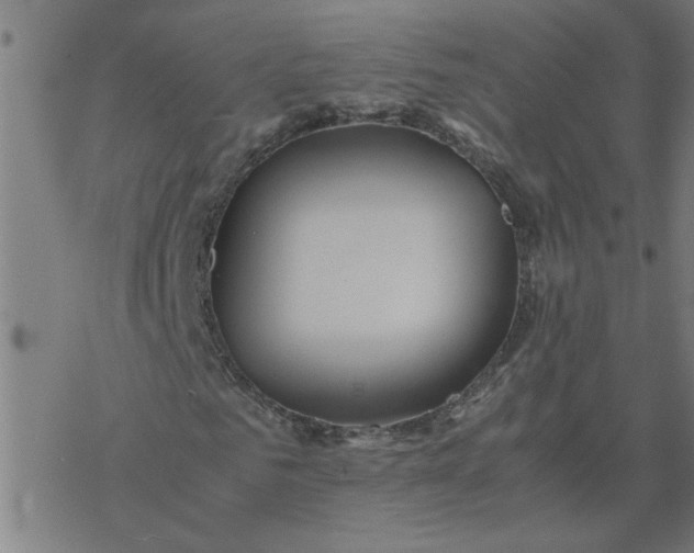 X0000077390961200611031957