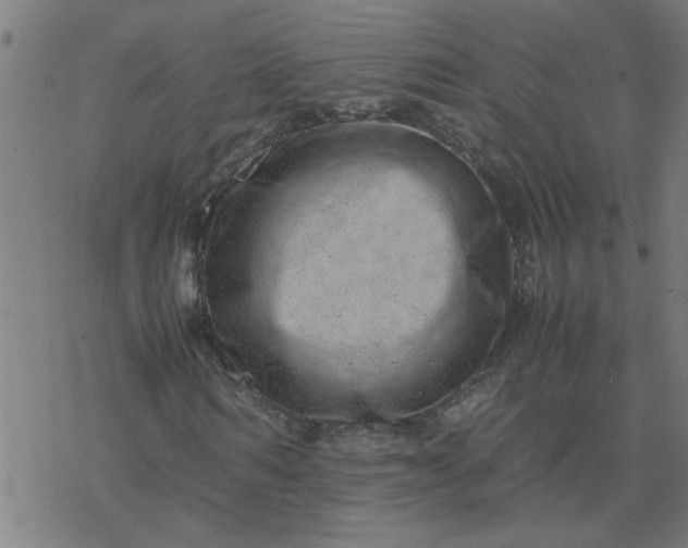 X0000077390962200611031957