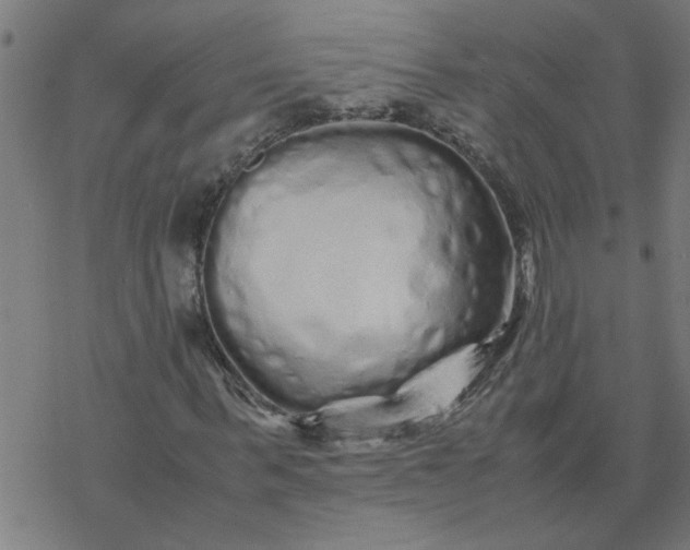 X0000077390963200611031957