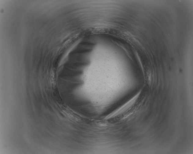 X0000077390964200611031957