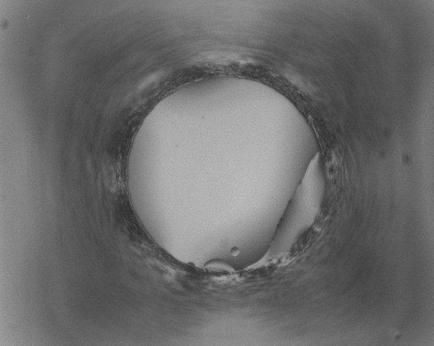 X0000077390965200611031957