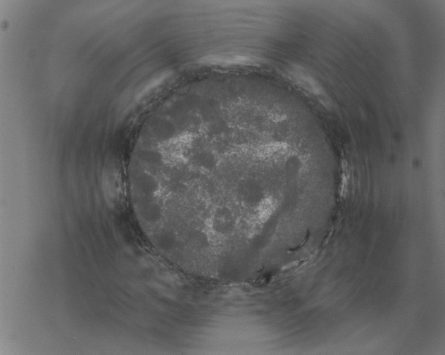 X0000077390966200611031957