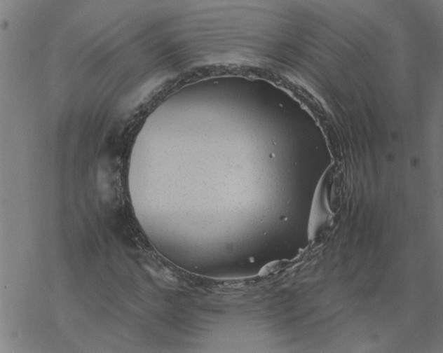 X0000077390968200611031957