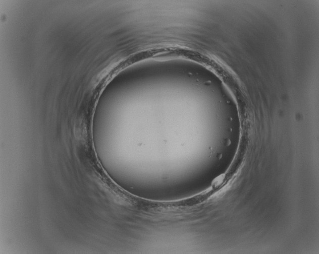 X0000077390969200611031957