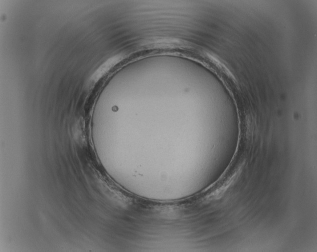 X0000077390970200611031957