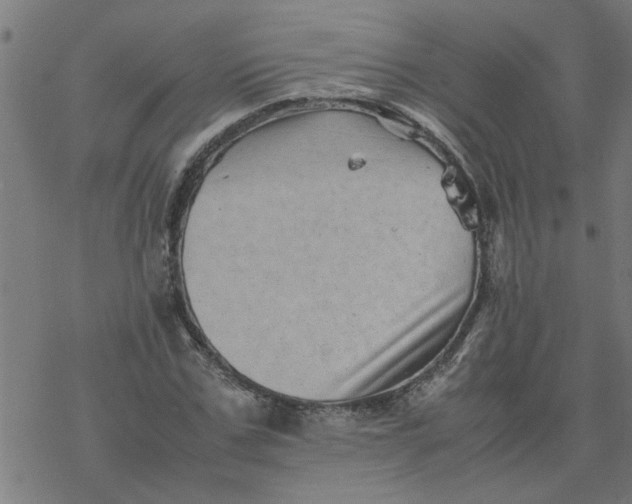 X0000077390971200611031957