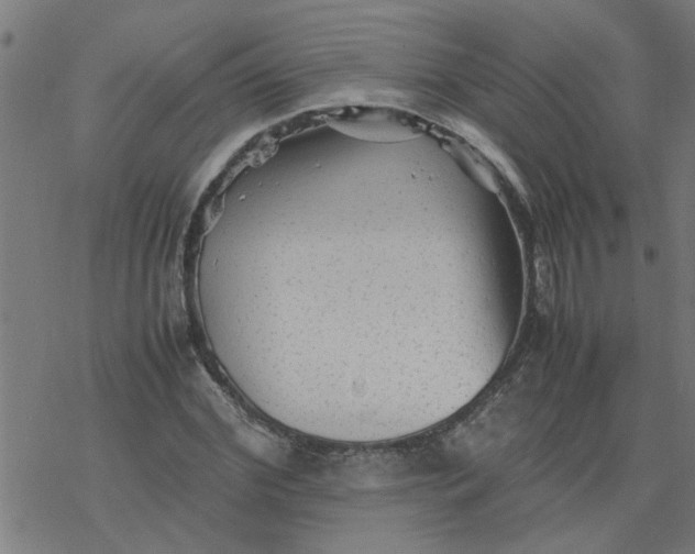 X0000077390972200611031957