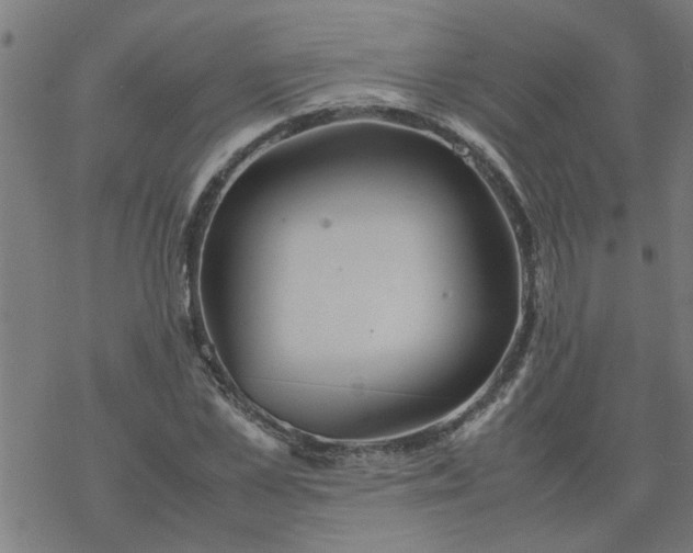 X0000077390973200611031957