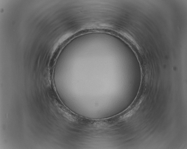 X0000077390974200611031957