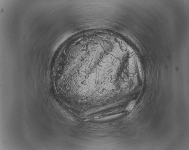 X0000077390975200611031957