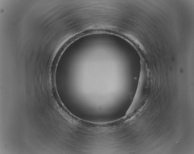 X0000077390976200611031957