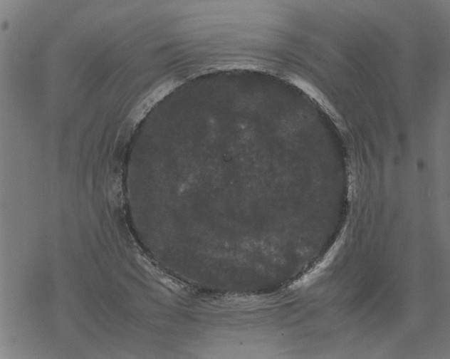 X0000077390977200611031957