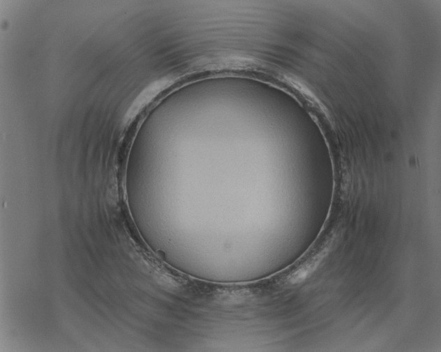 X0000077390978200611031957